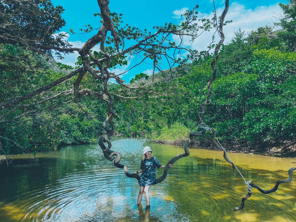 Bãi Suối Nóng có khu rừng 